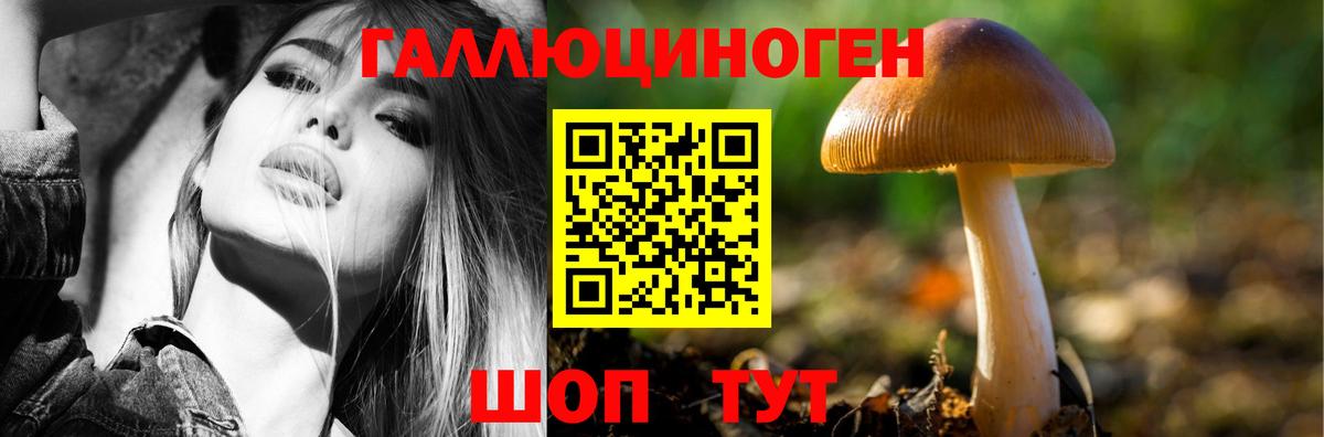 Псилоцибиновые грибы Psilocybine cubensis  Вход с VPN  Бердск 